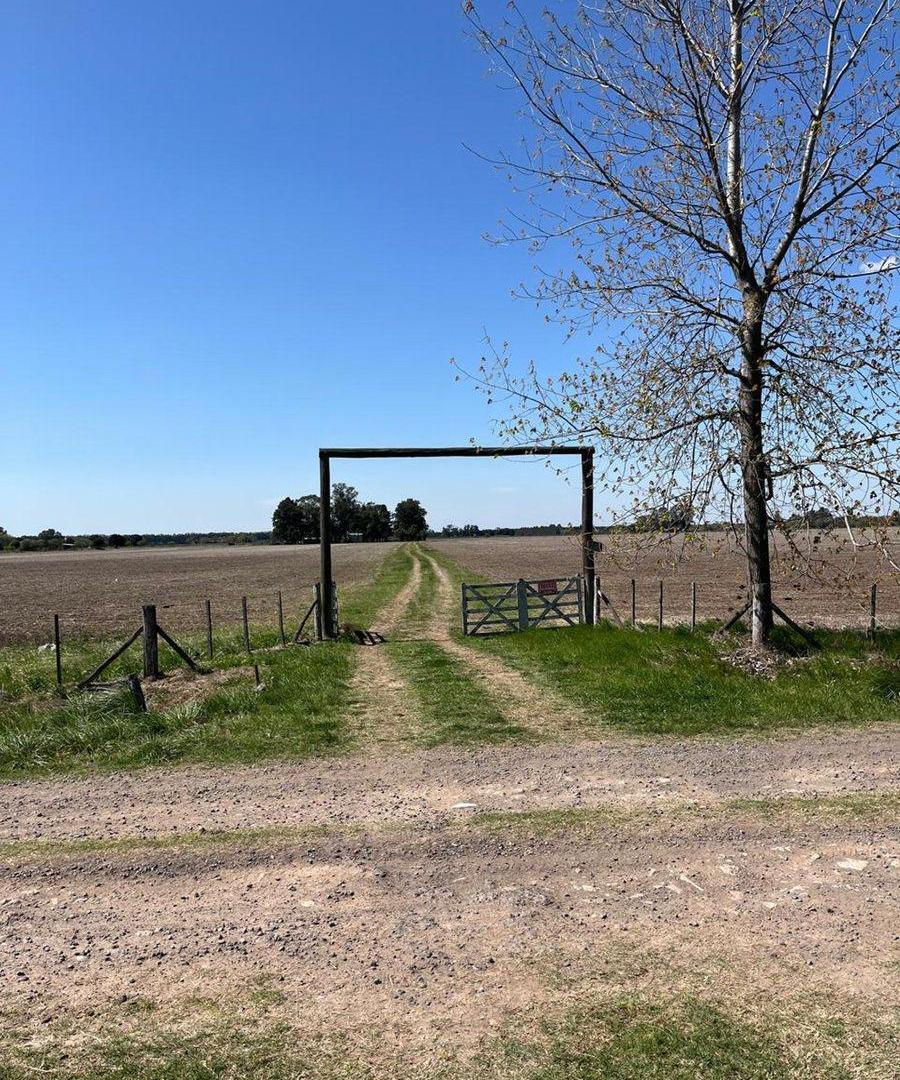 CAMPO AGRICOLA EN VENTA EN BARADERO