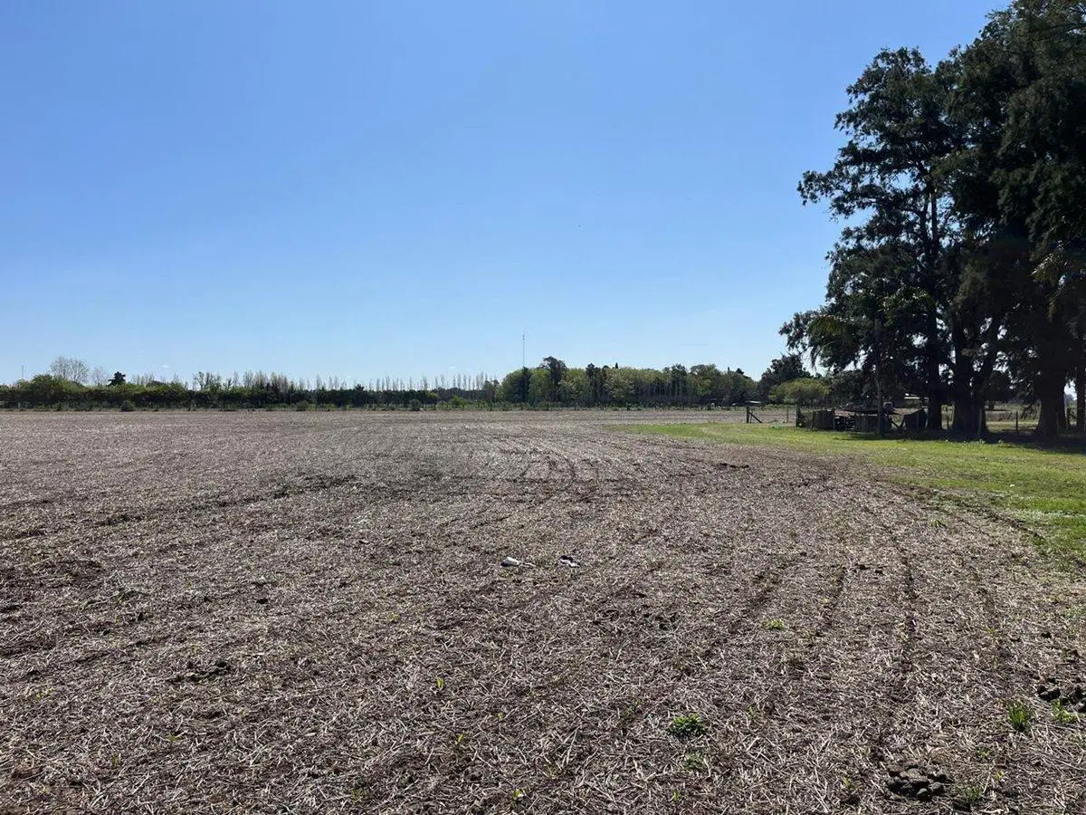 CAMPO AGRICOLA EN VENTA EN BARADERO 5