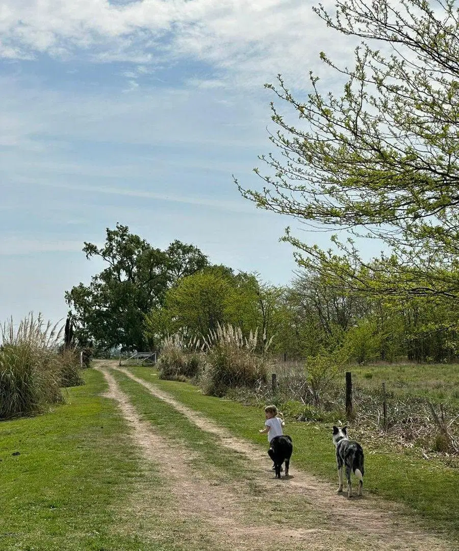 CAMPO EN VENTA EN PERGAMINO CON CASCO 5