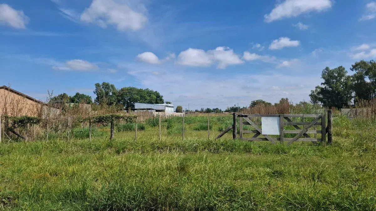 LOTE EN VENTA EN PEHUAJÓ 3