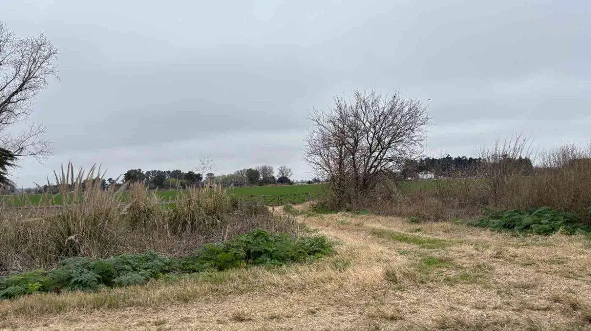 CAMPO EN VENTA EN BRAGADO 5