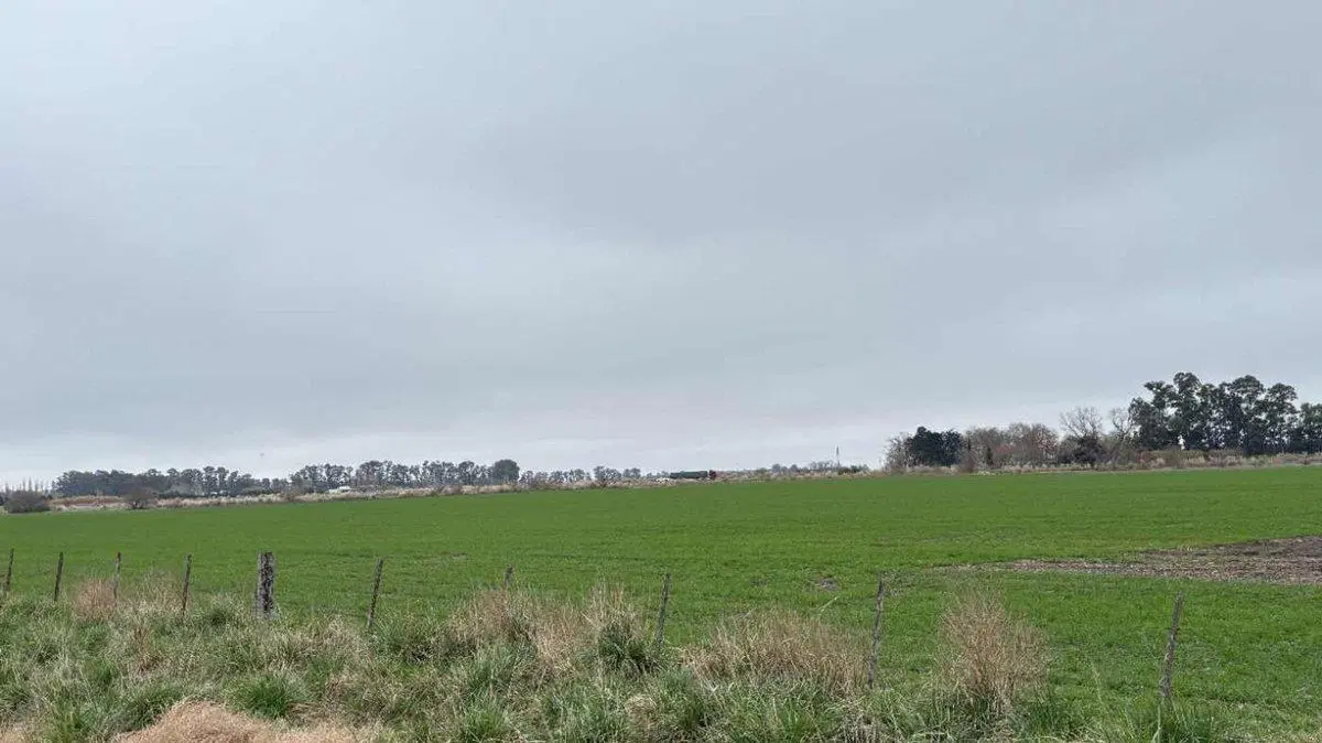 CAMPO EN VENTA EN BRAGADO 2