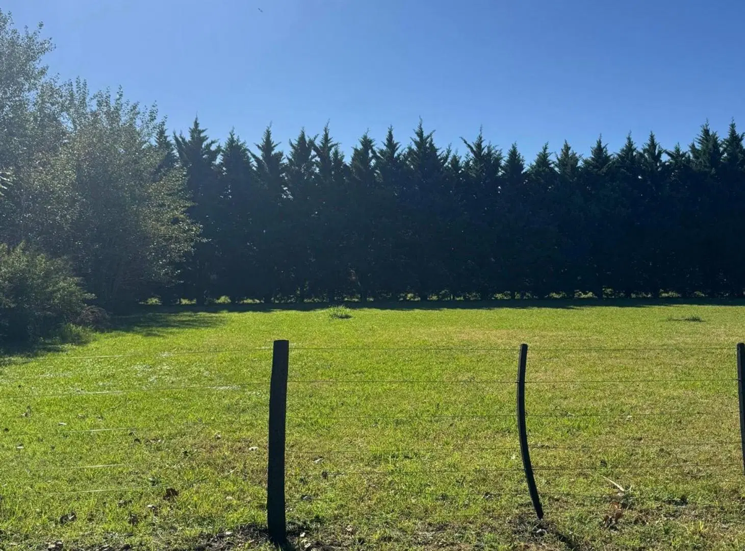 TERRENO EN VENTA EN PERGAMINO 2
