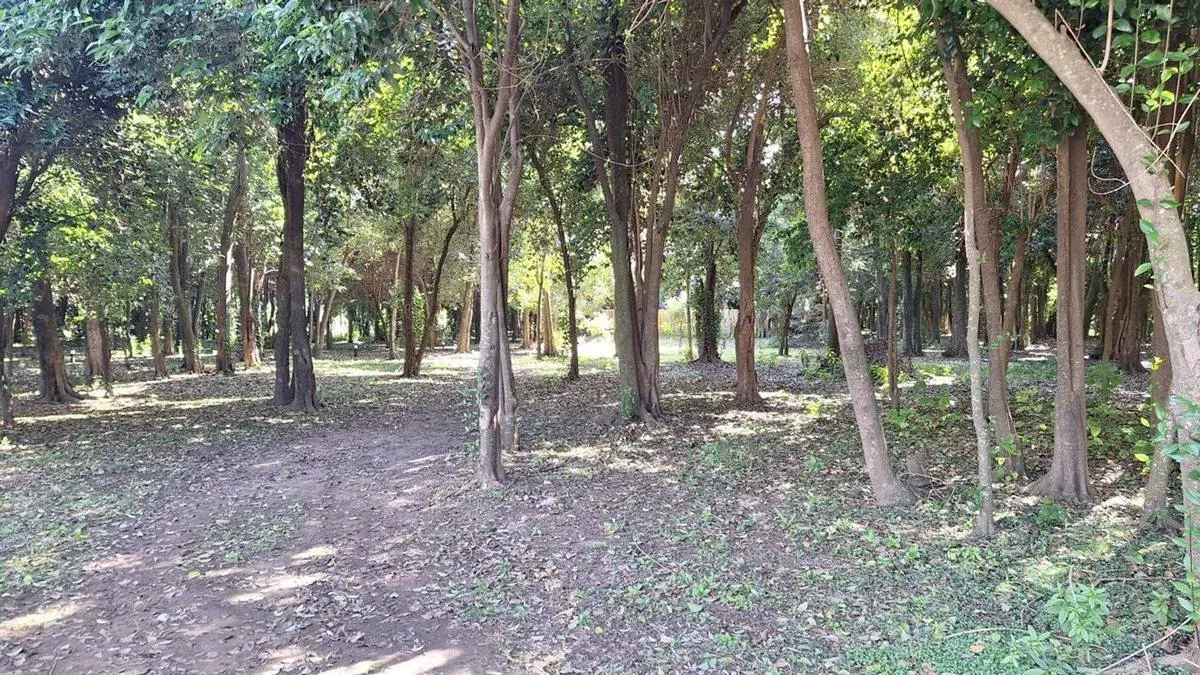 TERRENO EN VENTA EN PERGAMINO 8