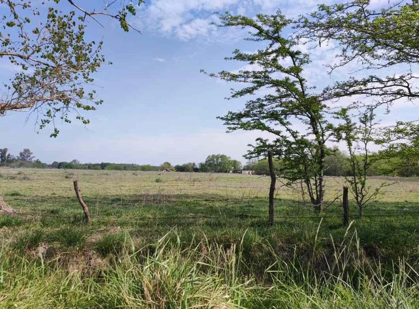 CHACRA EN VENTA EN BRAGADO 4