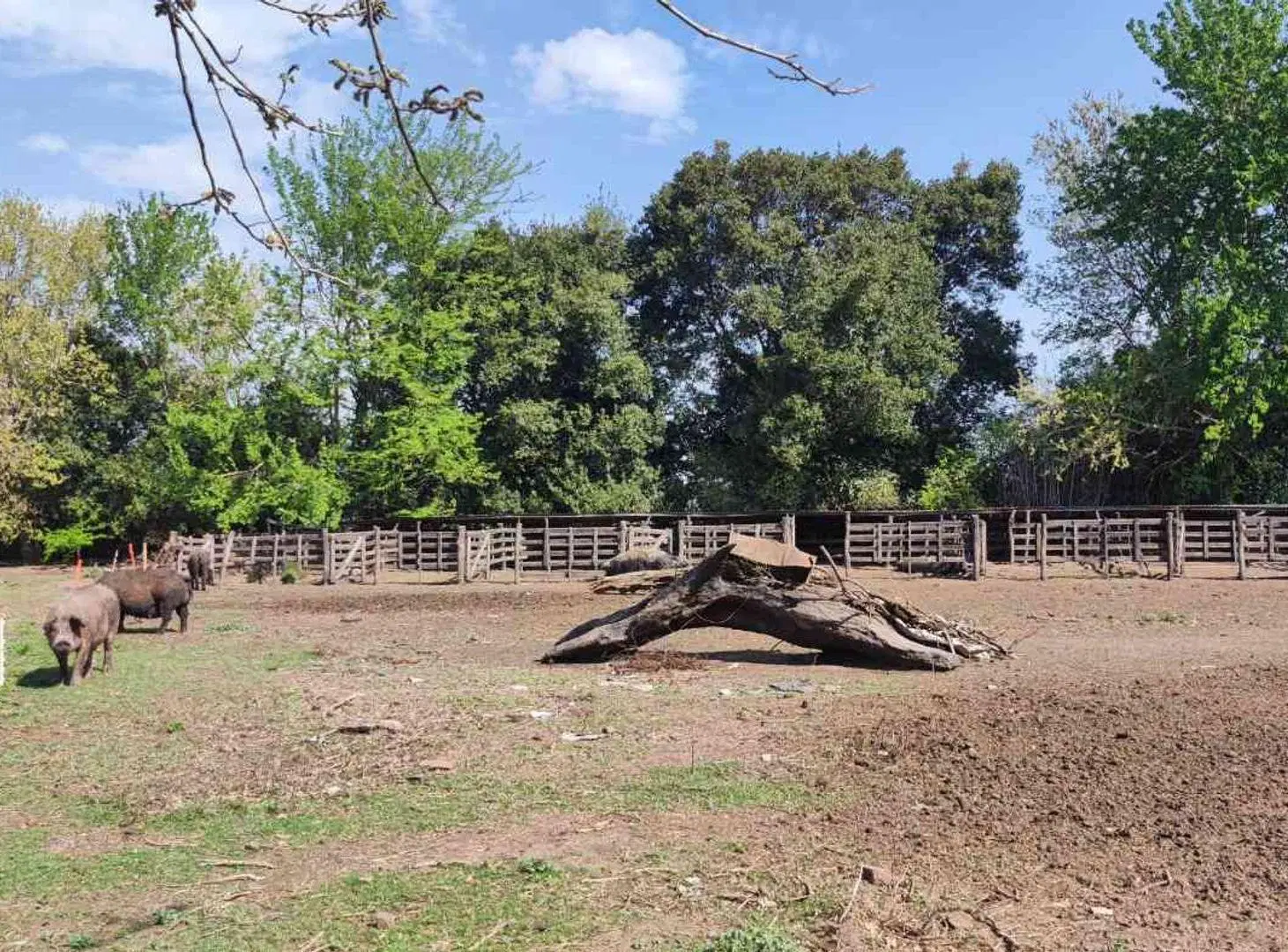 CHACRA EN VENTA EN BRAGADO 2