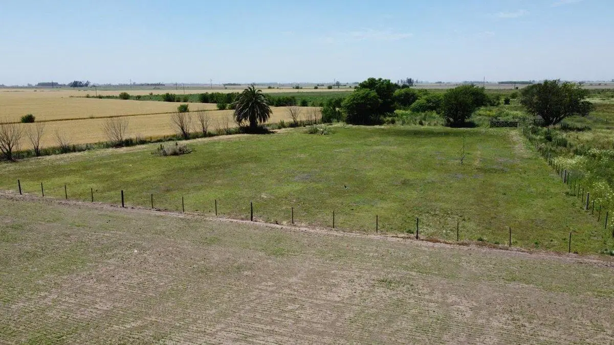TERRENO EN VENTA EN ACEVEDO, PARTIDO DE PERGAMINO 3