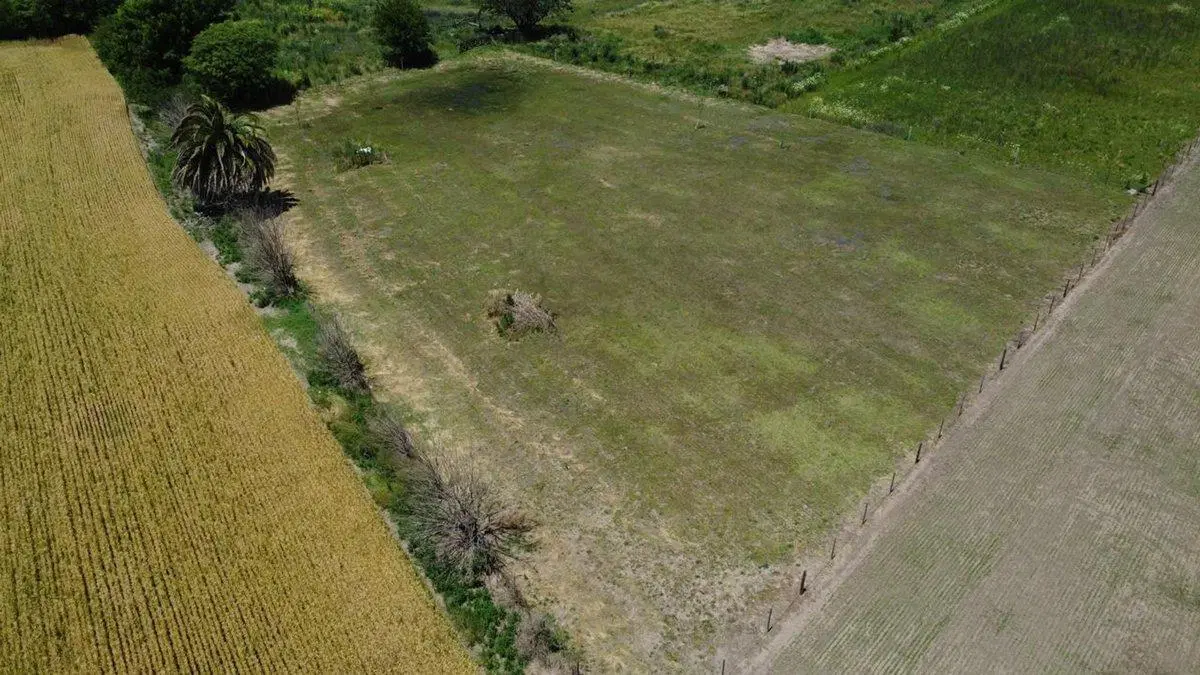 TERRENO EN VENTA EN ACEVEDO, PARTIDO DE PERGAMINO 2