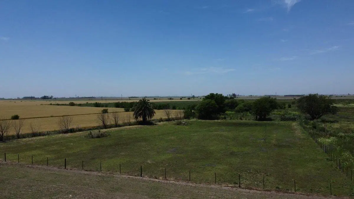 TERRENO EN VENTA EN ACEVEDO, PARTIDO DE PERGAMINO 4