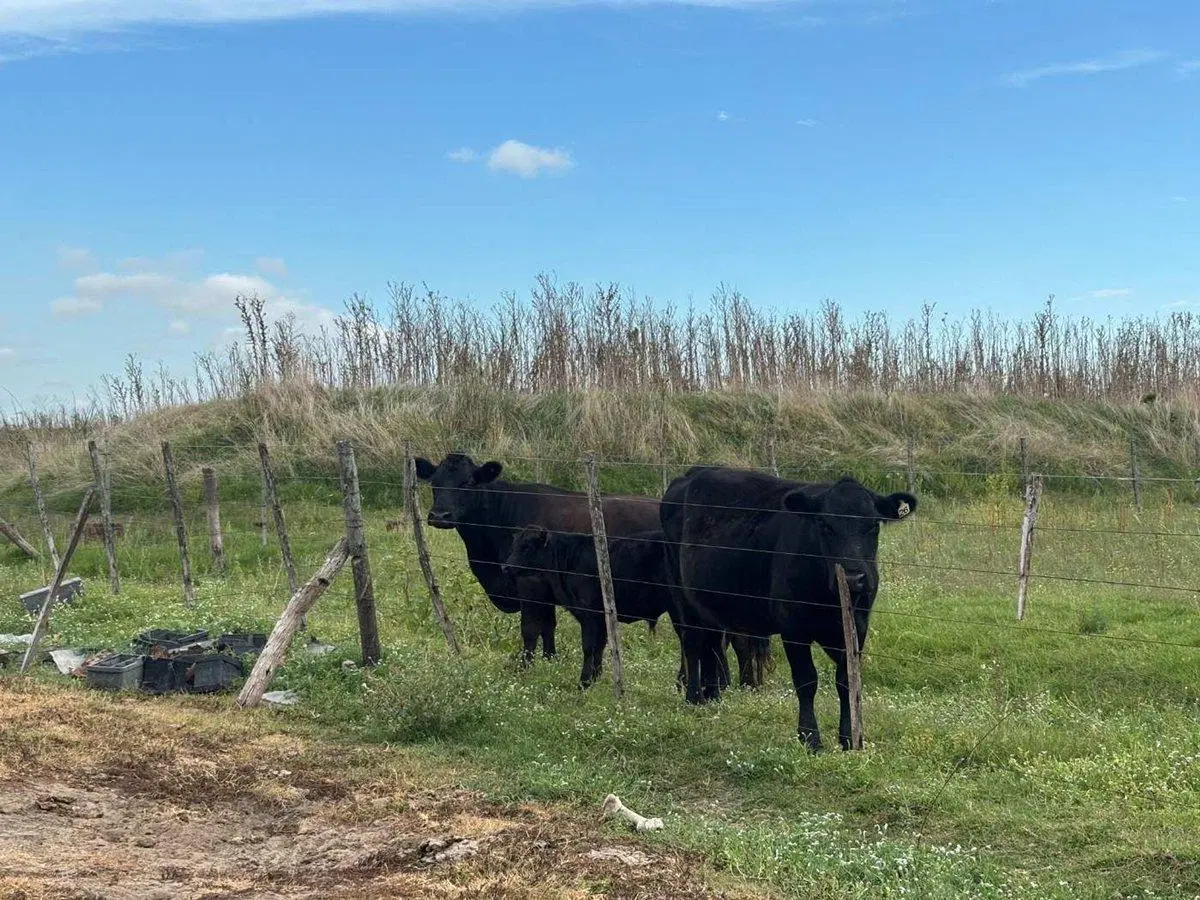 CAMPO EN VENTA EN BRAGADO 5