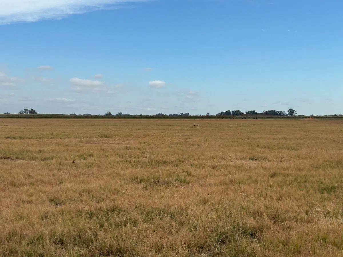 CAMPO EN VENTA EN BRAGADO 2