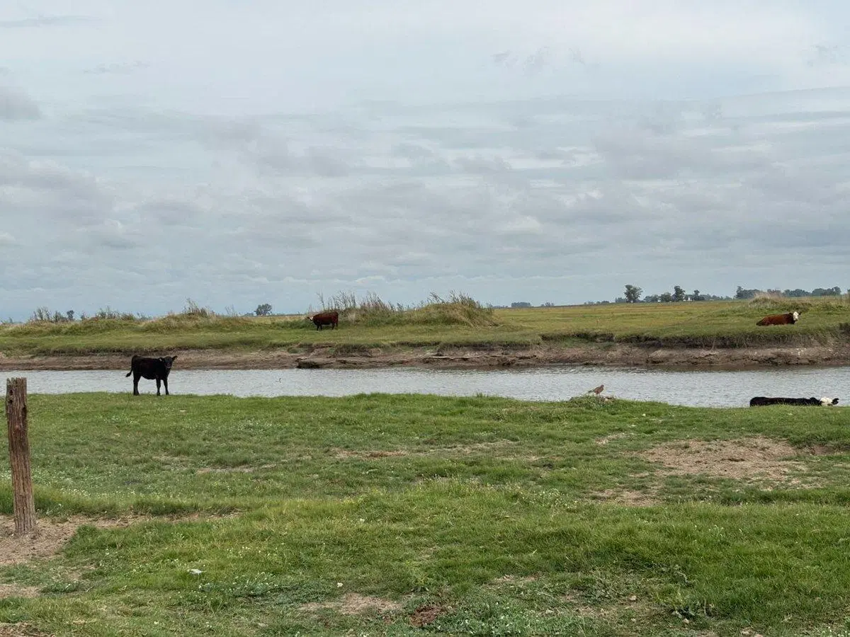 CAMPO EN VENTA EN BRAGADO 3