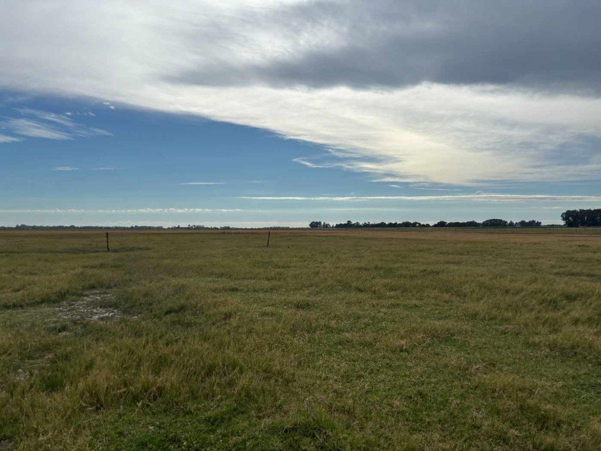 CAMPO EN VENTA EN BRAGADO
