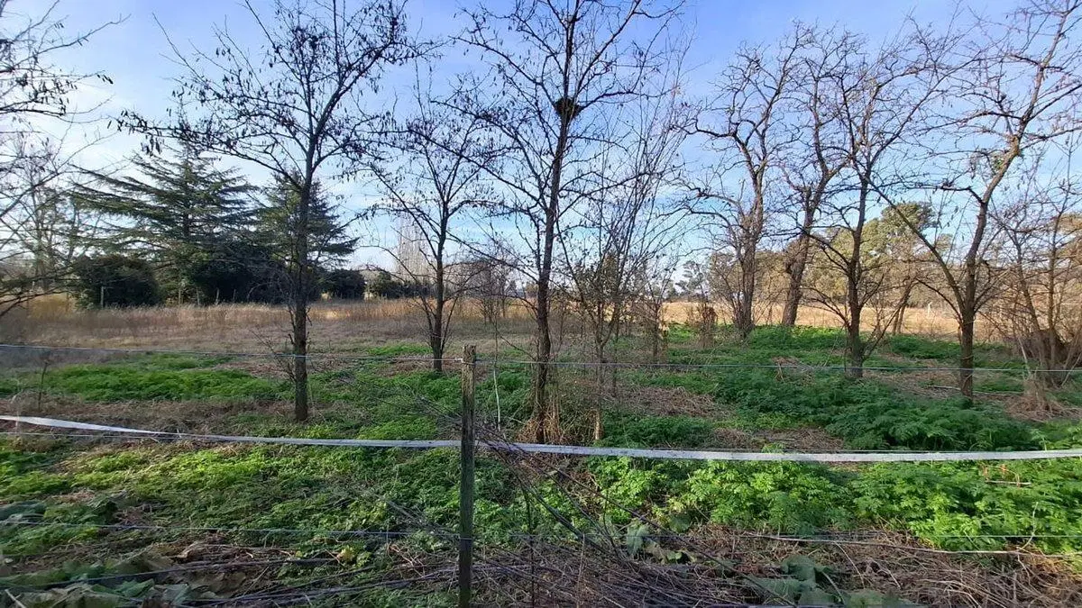 LOTE EN VENTA EN 9 DE JULIO 2