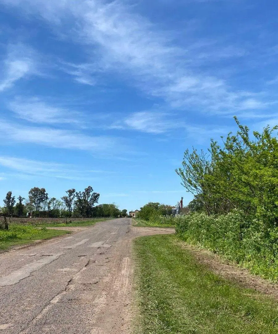 CAMPO AGRICOLA EN VENTA EN AYERZA PERGAMINO 5