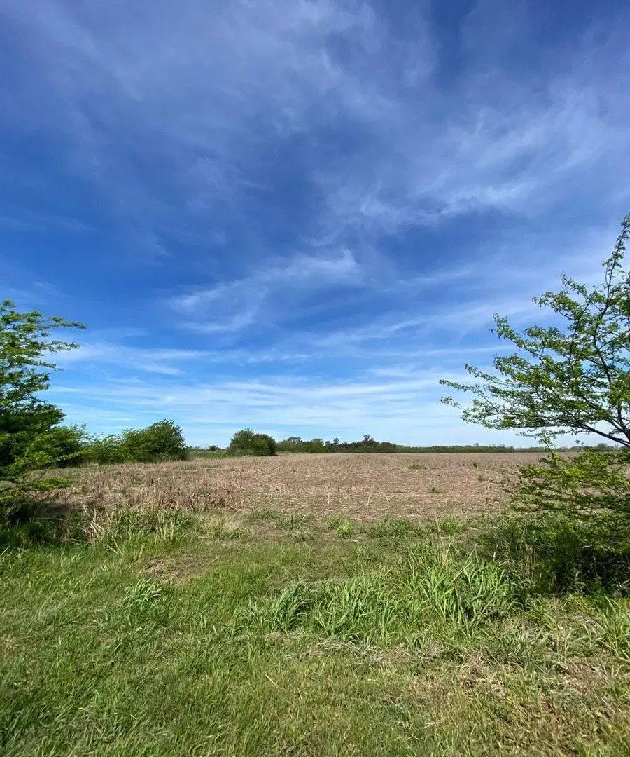 CAMPO AGRICOLA EN VENTA EN AYERZA PERGAMINO 2