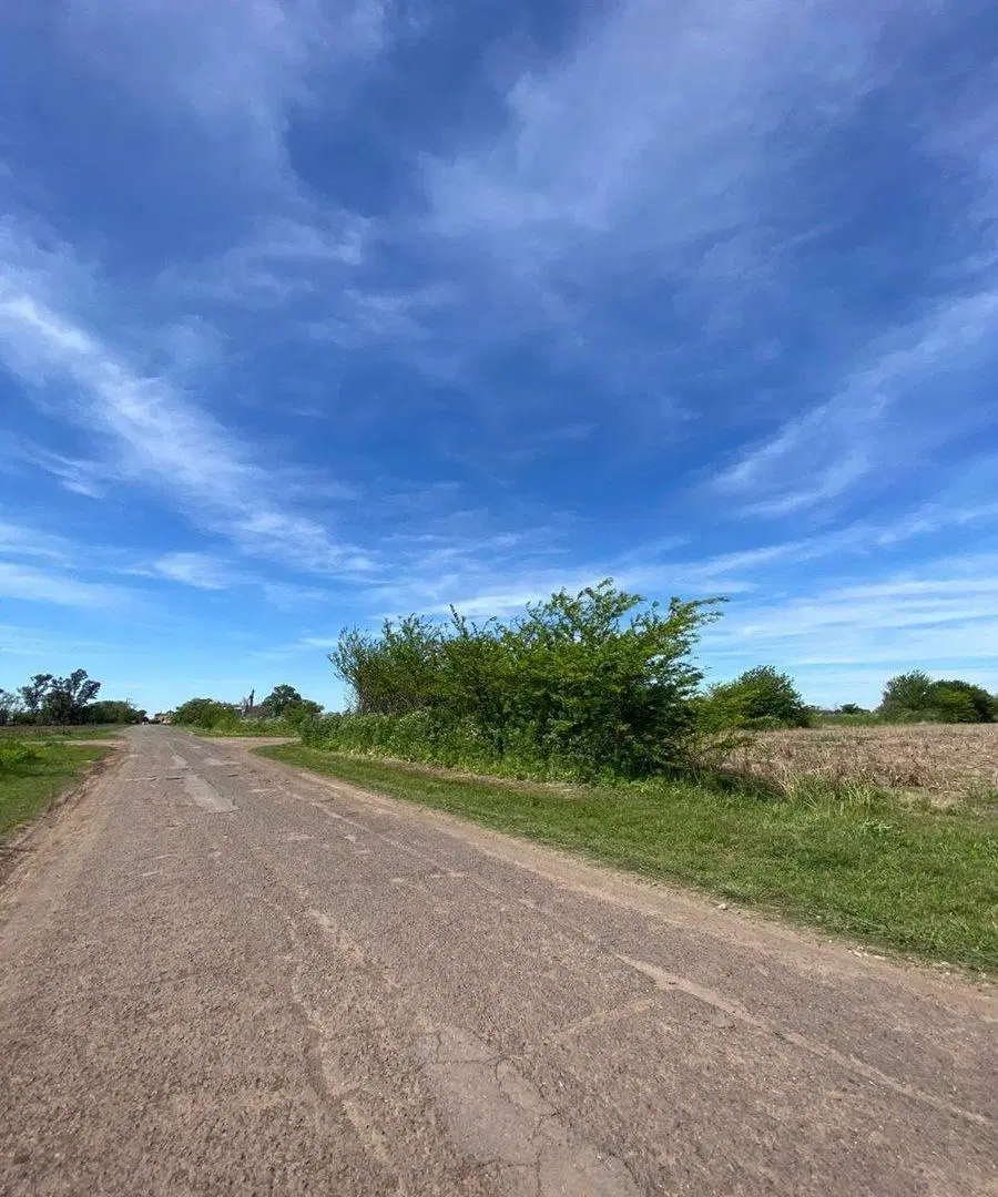 CAMPO AGRICOLA EN VENTA EN AYERZA PERGAMINO 3