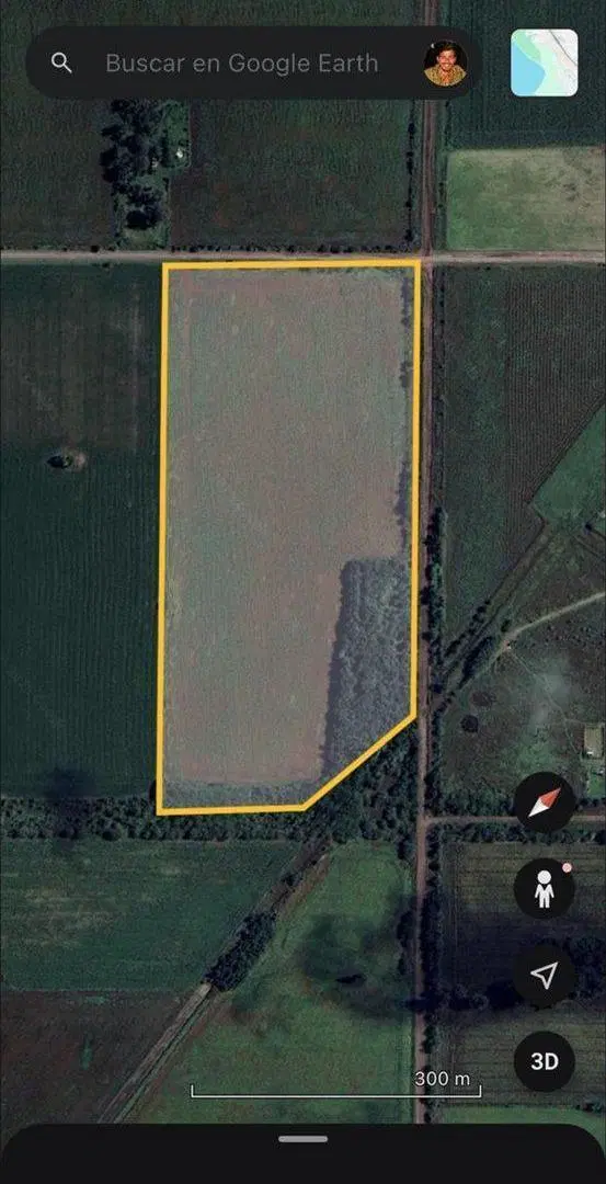 CAMPO AGRICOLA EN VENTA EN AYERZA PERGAMINO 4