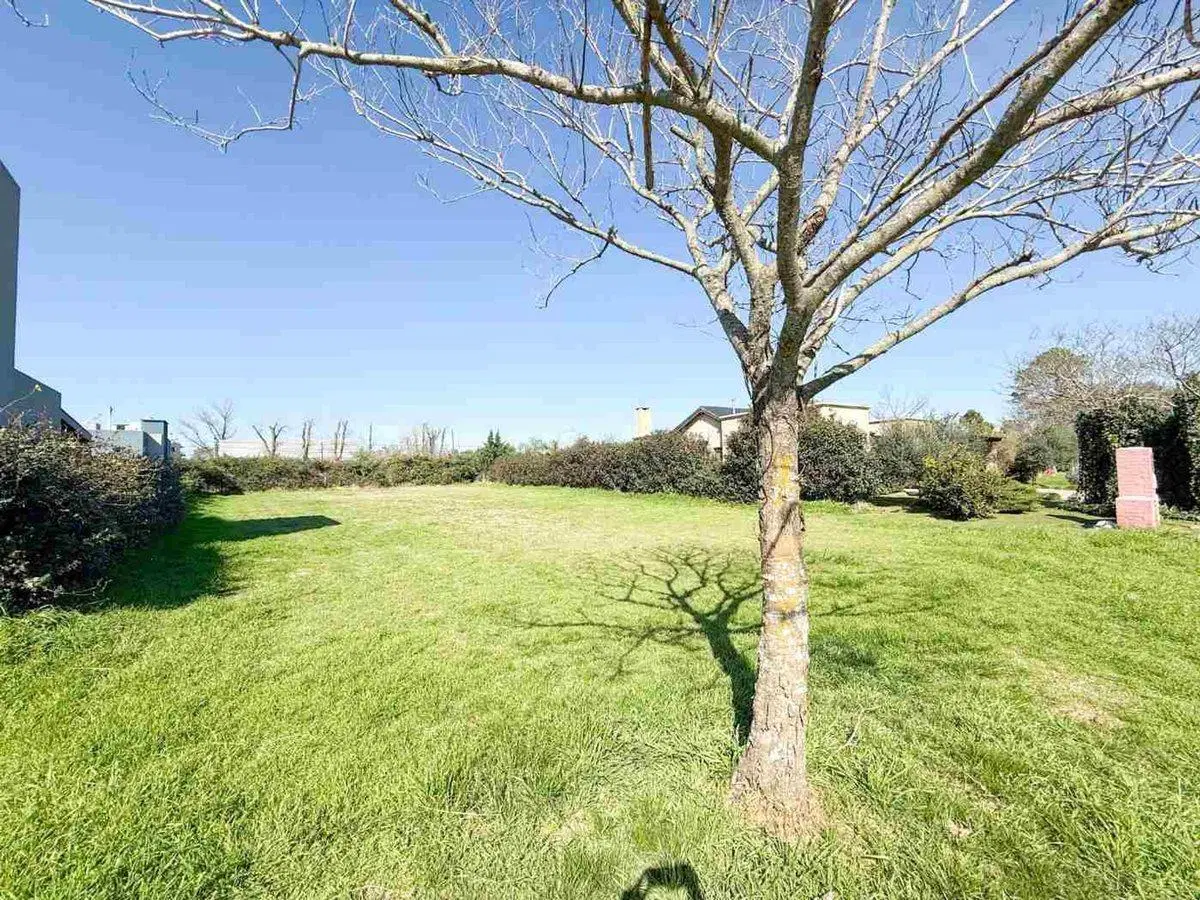 TERRENO EN VENTA EN PERGAMINO 5