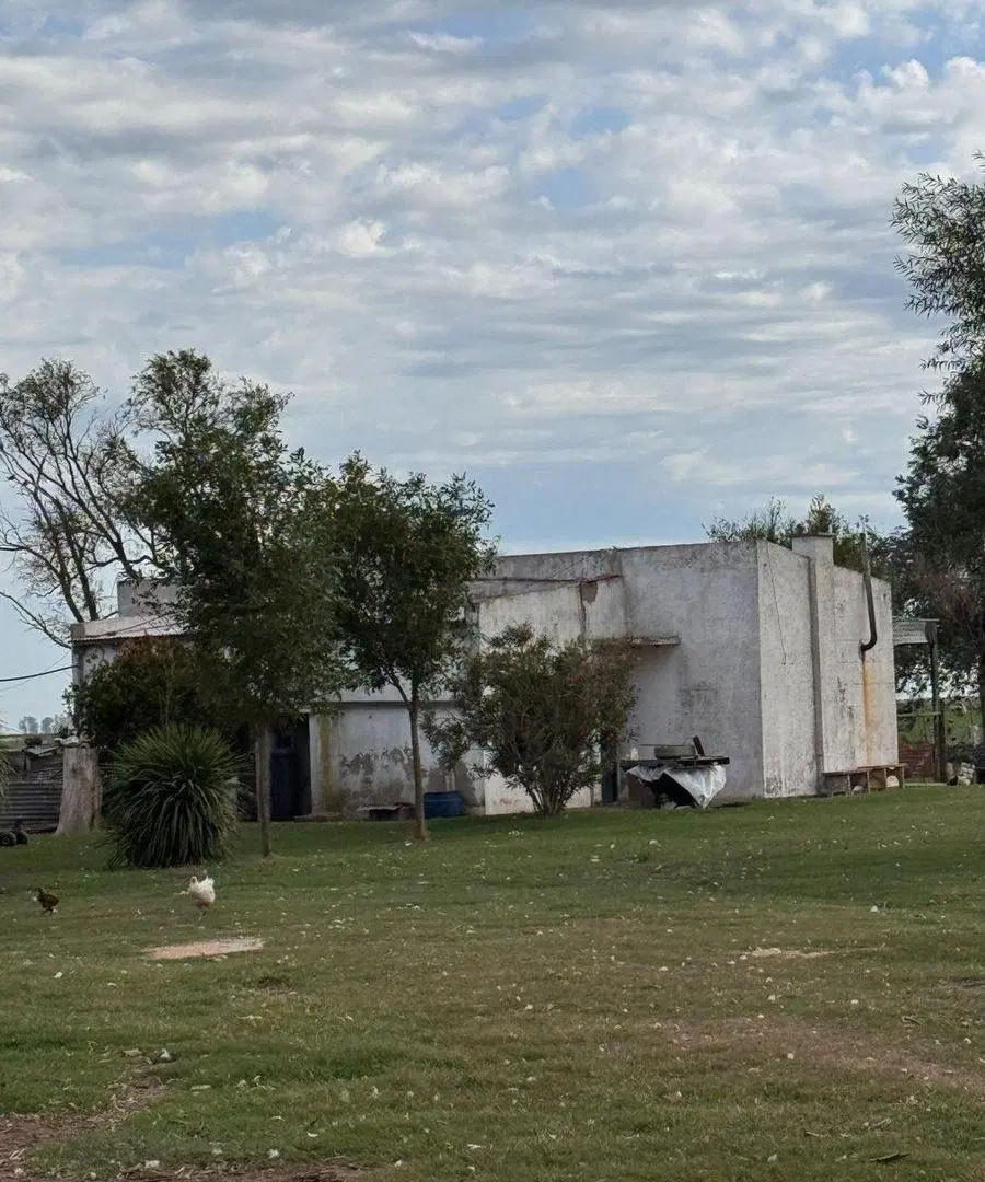 CAMPO EN VENTA EN CARLOS TEJEDOR 4