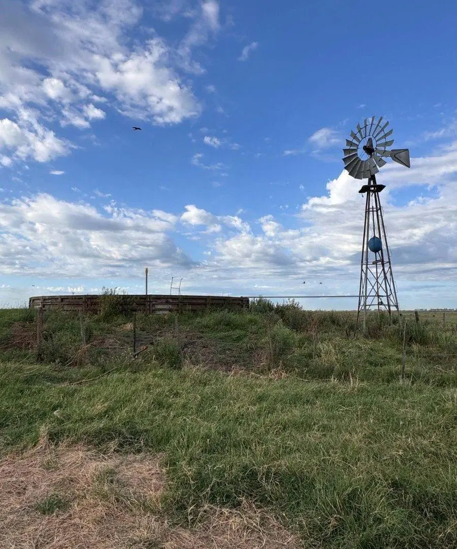 CAMPO EN VENTA EN CARLOS TEJEDOR 2