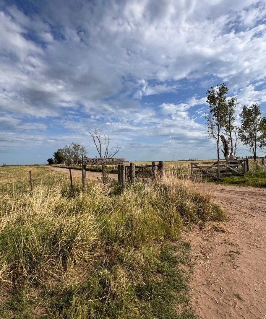 CAMPO EN VENTA EN CARLOS TEJEDOR 5
