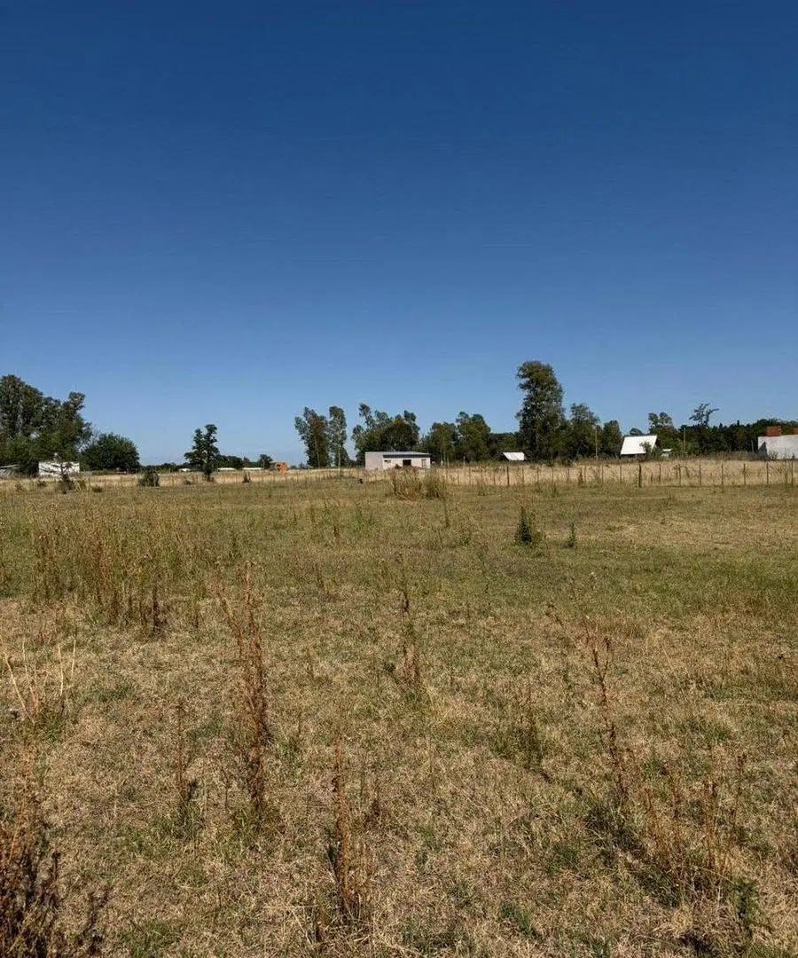 LOTE EN VENTA EN SMITH CARLOS CASARES 950M2 5