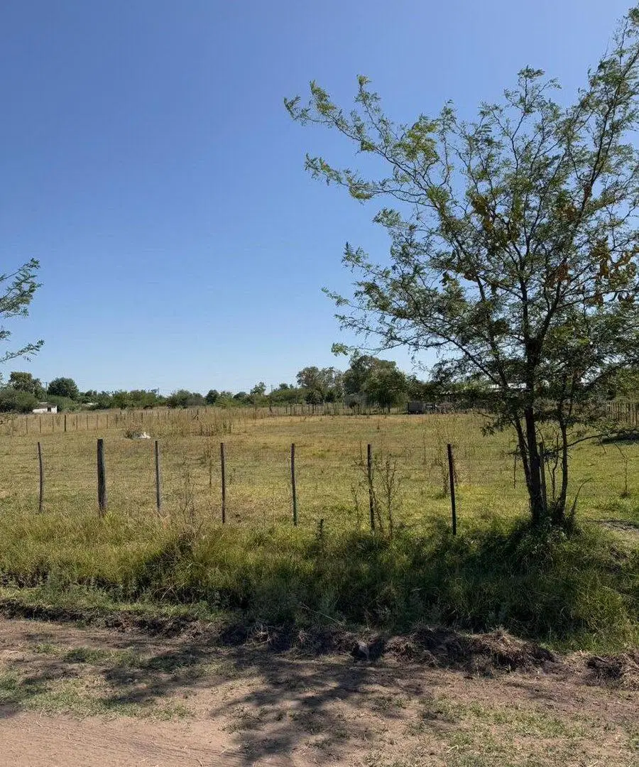 LOTE EN VENTA EN SMITH CARLOS CASARES 950M2 2