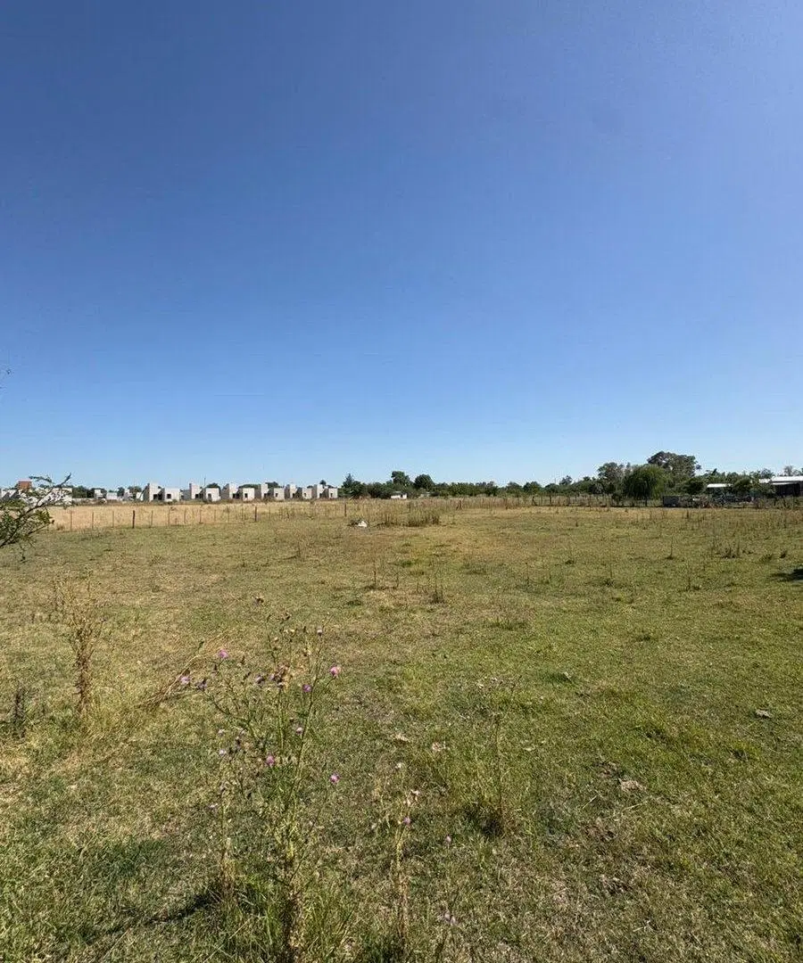 LOTE EN VENTA EN SMITH CARLOS CASARES 950M2 3