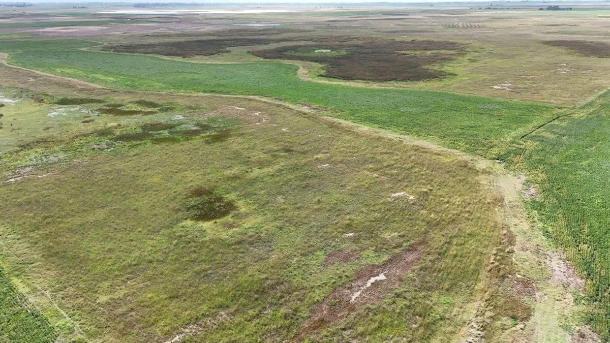 CAMPO MIXTO EN VENTA EN MADERO, PEHUAJÓ 3