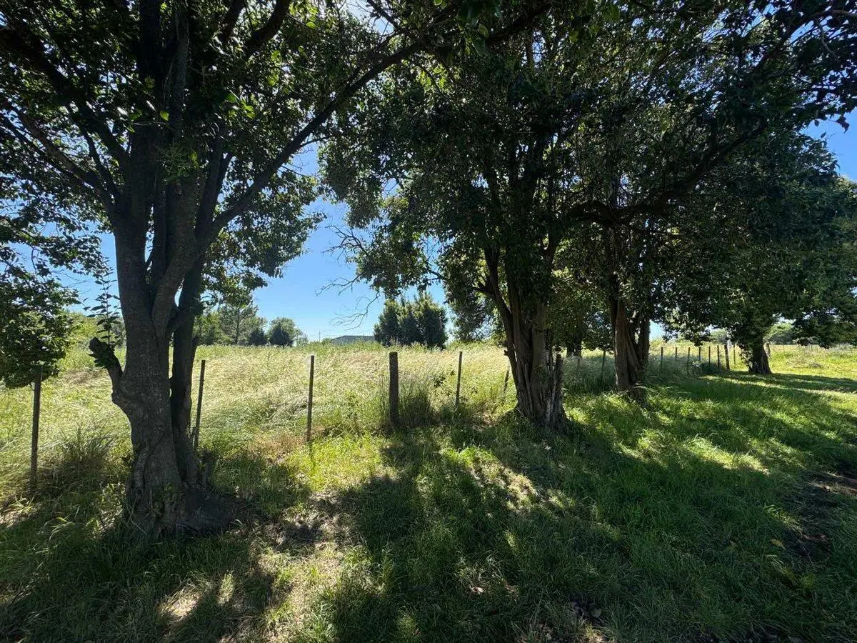 TERRENOS EN VENTA EN MANUEL OCAMPO 2