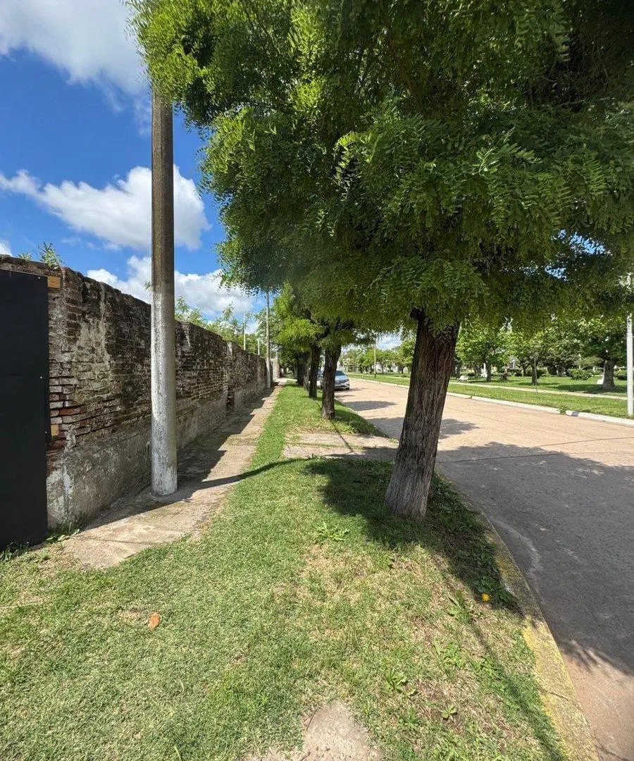 LOTE EN VENTA EN FRANCISCO MADERO 3