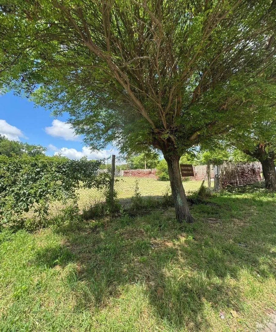 LOTE EN VENTA EN FRANCISCO MADERO 4