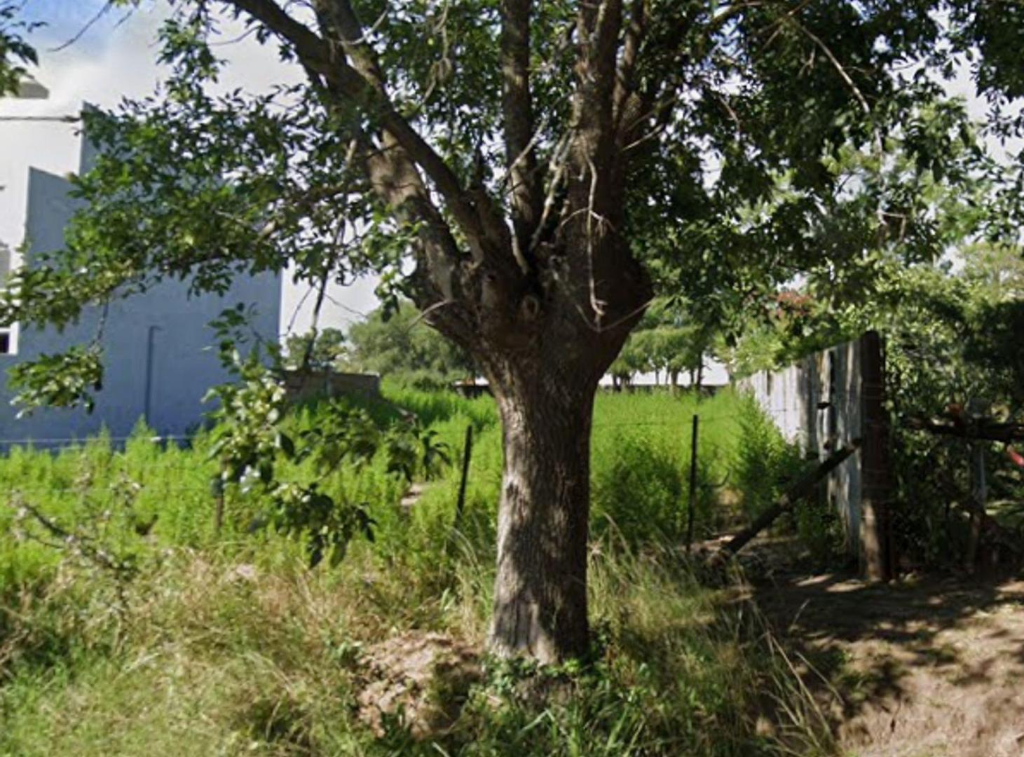 Foto de TERRENO EN VENTA EN COLON BUENOS AIRES, imagen 3