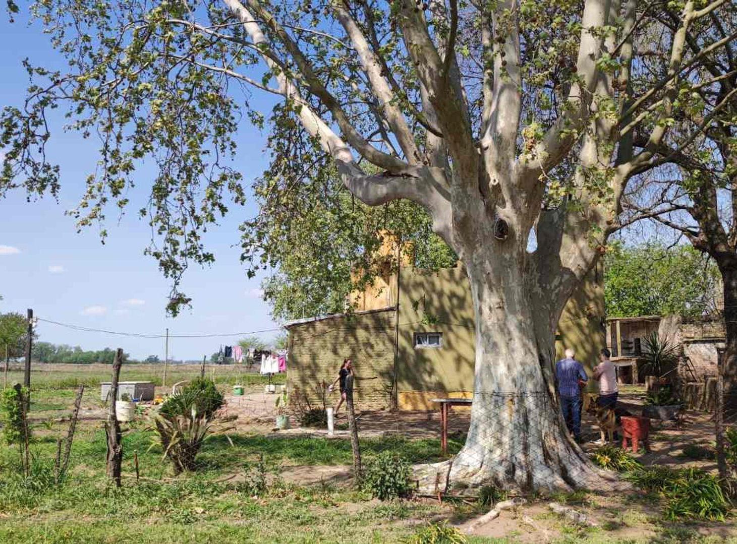 Foto de CHACRA EN VENTA EN BRAGADO, imagen 3