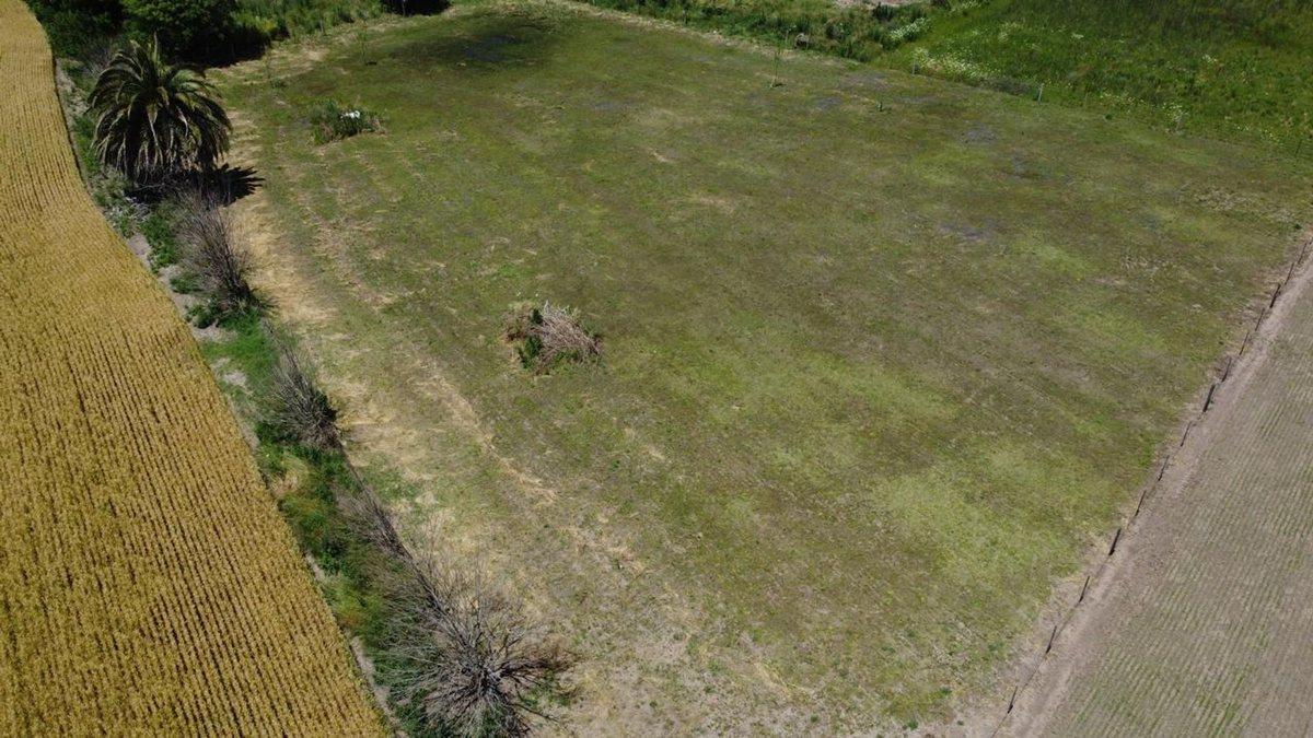 Foto de TERRENO EN VENTA EN ACEVEDO, PARTIDO DE PERGAMINO, imagen 2