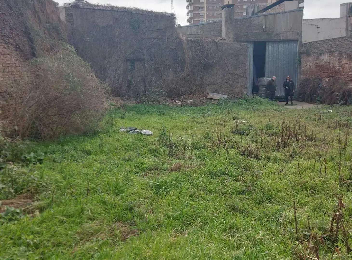 LOCAL CON DEPOSITO EN VENTA EN ARRECIFES 3