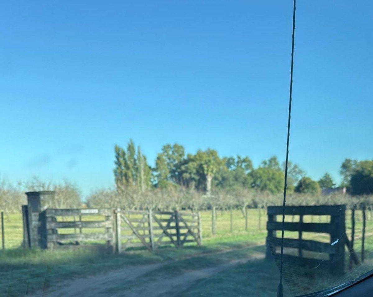 Foto de CHACRA EN VENTA EN 9 DE JULIO, imagen 2