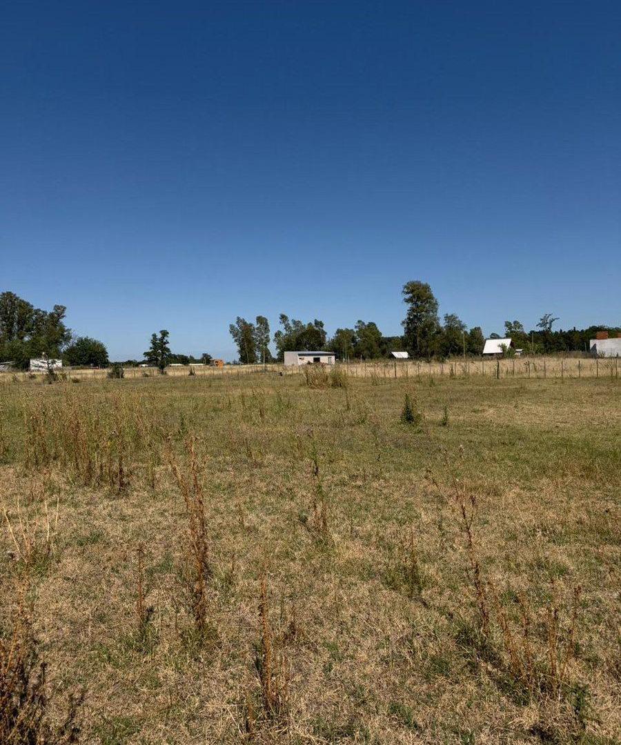Foto de LOTE EN VENTA EN SMITH CARLOS CASARES 950M2, imagen 3