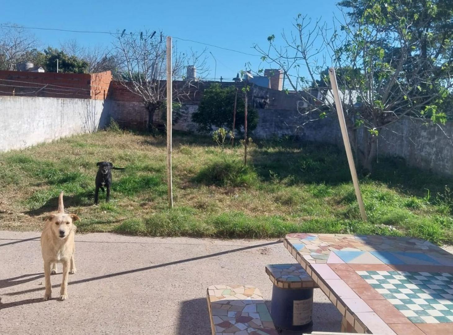 Foto de CASA EN VENTA EN PERGAMINO, imagen 3