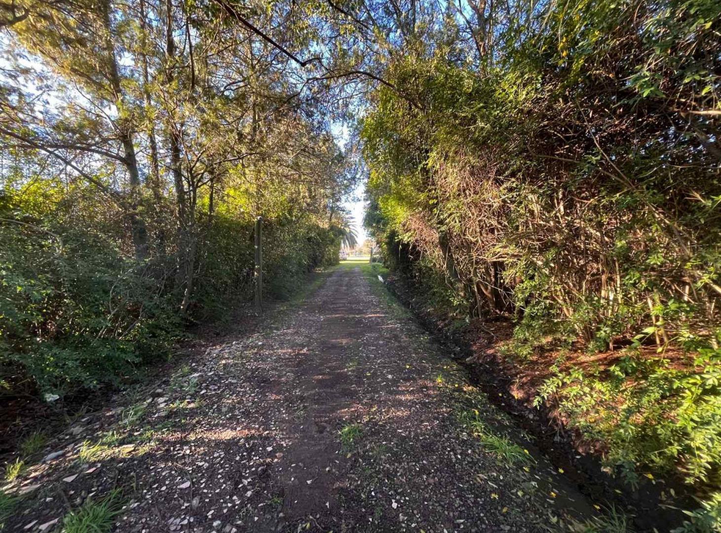 Foto de CAMPO EN VENTA EN BARADERO, imagen 2