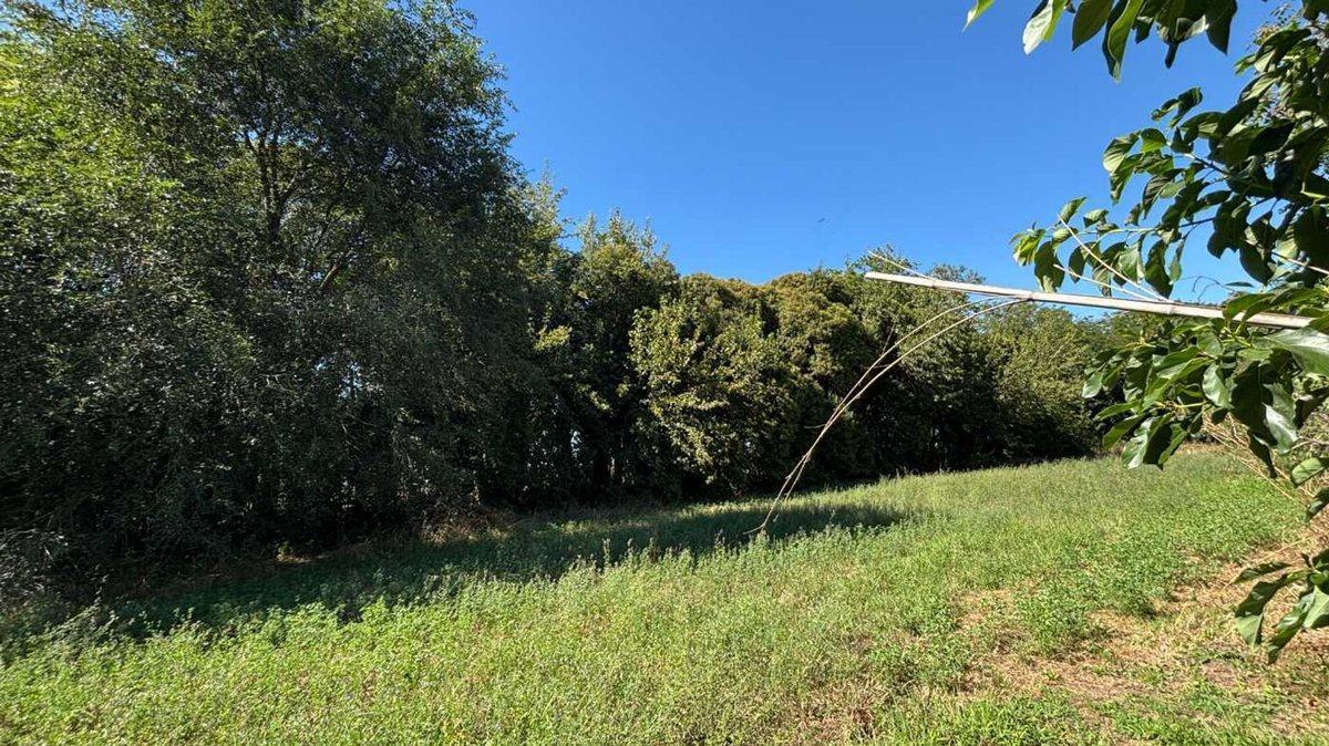 Foto de QUINTA EN VENTA EN BRAGADO, imagen 3