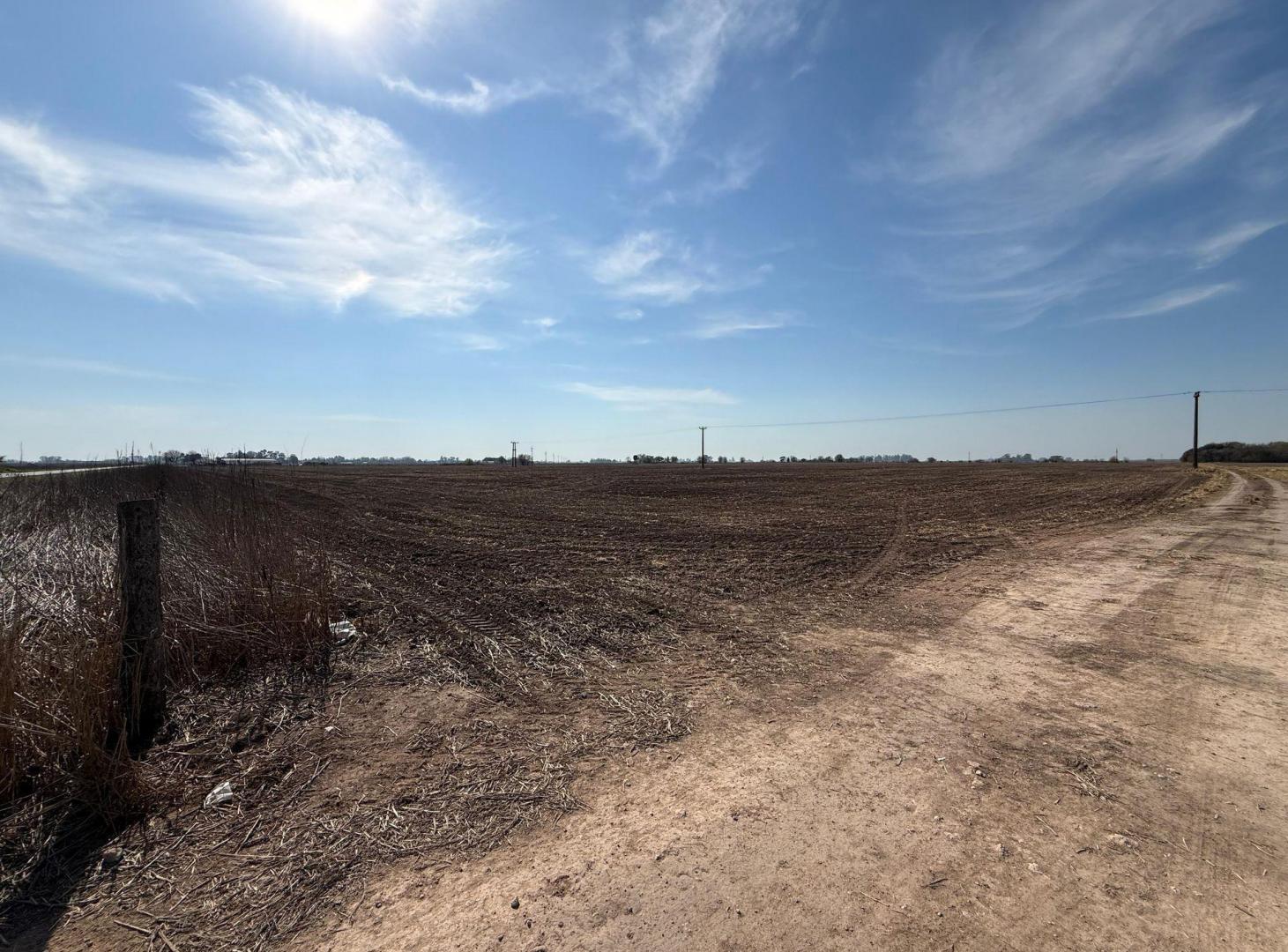 Foto de CAMPO AGRICOLA EN VENTA EN PINZON, imagen 2
