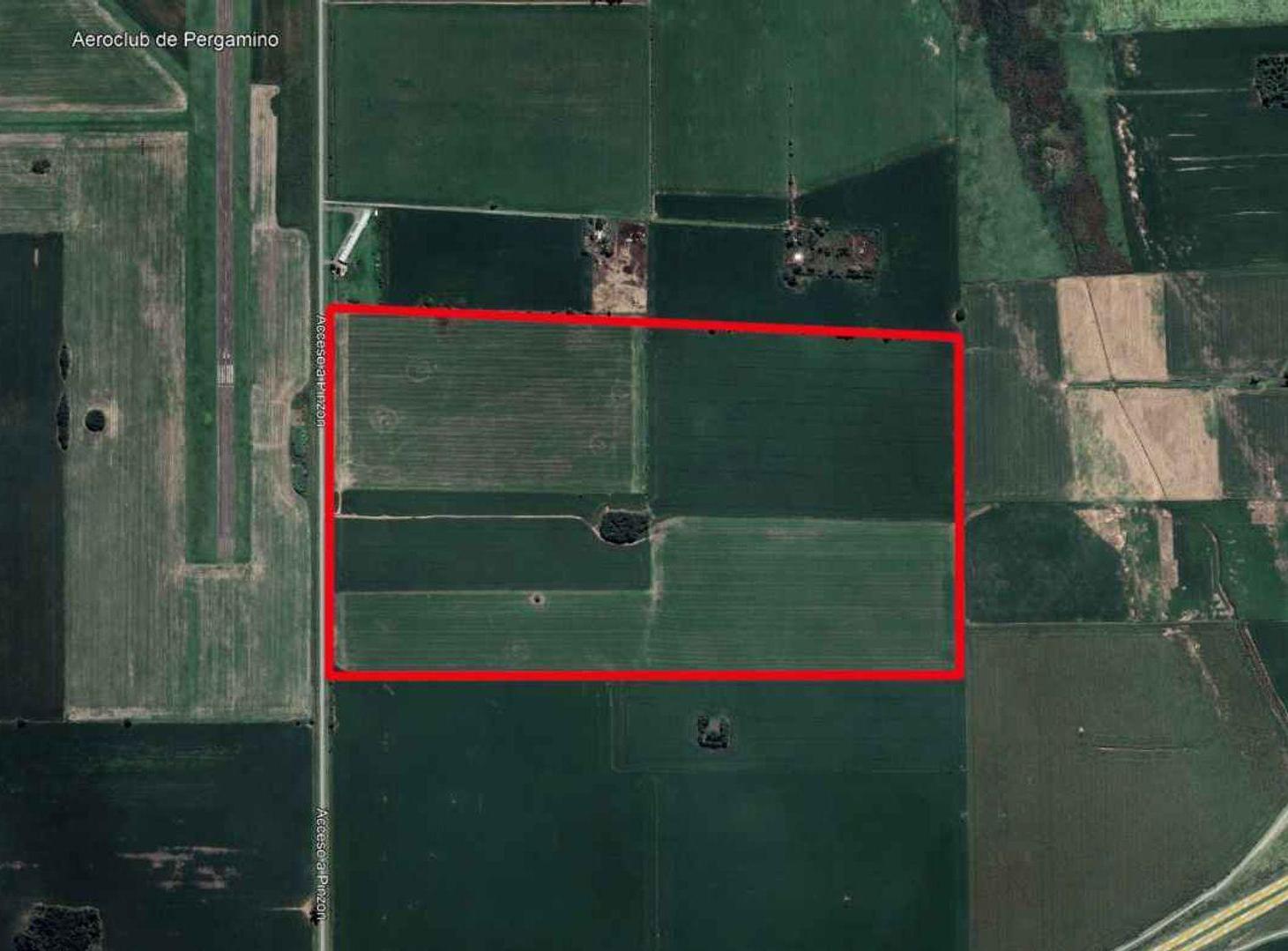 Foto de CAMPO AGRICOLA EN VENTA EN PINZON, imagen 4