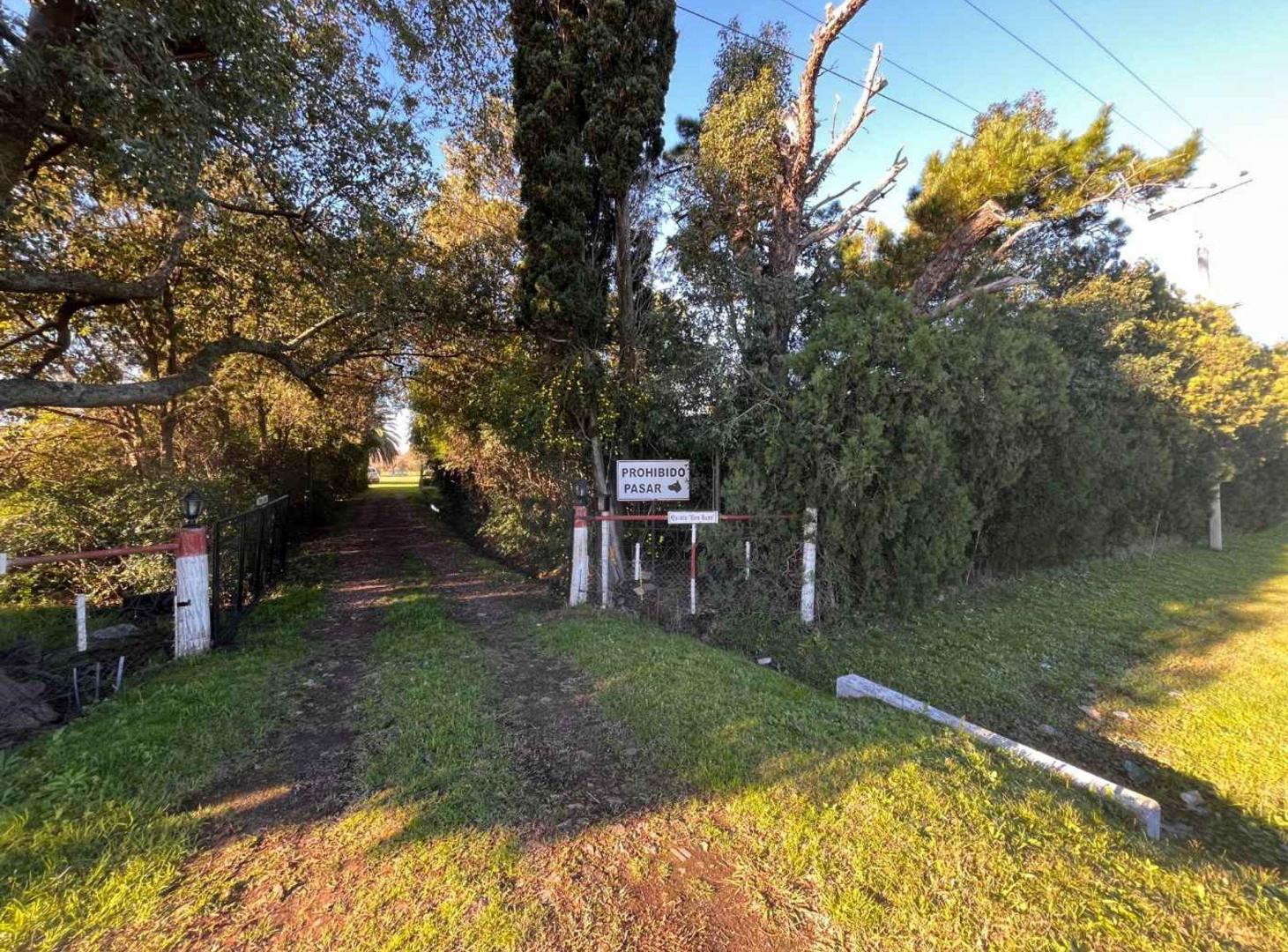 Foto de CAMPO EN VENTA EN BARADERO, imagen 2