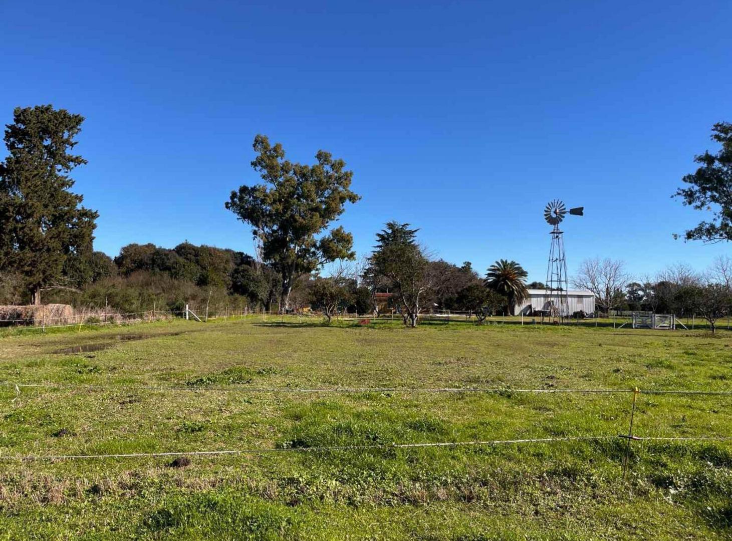 Foto de CAMPO EN VENTA EN BARADERO, imagen 3