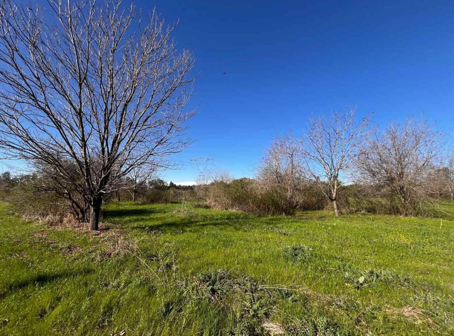 Foto de CAMPO EN VENTA EN BARADERO, imagen 5
