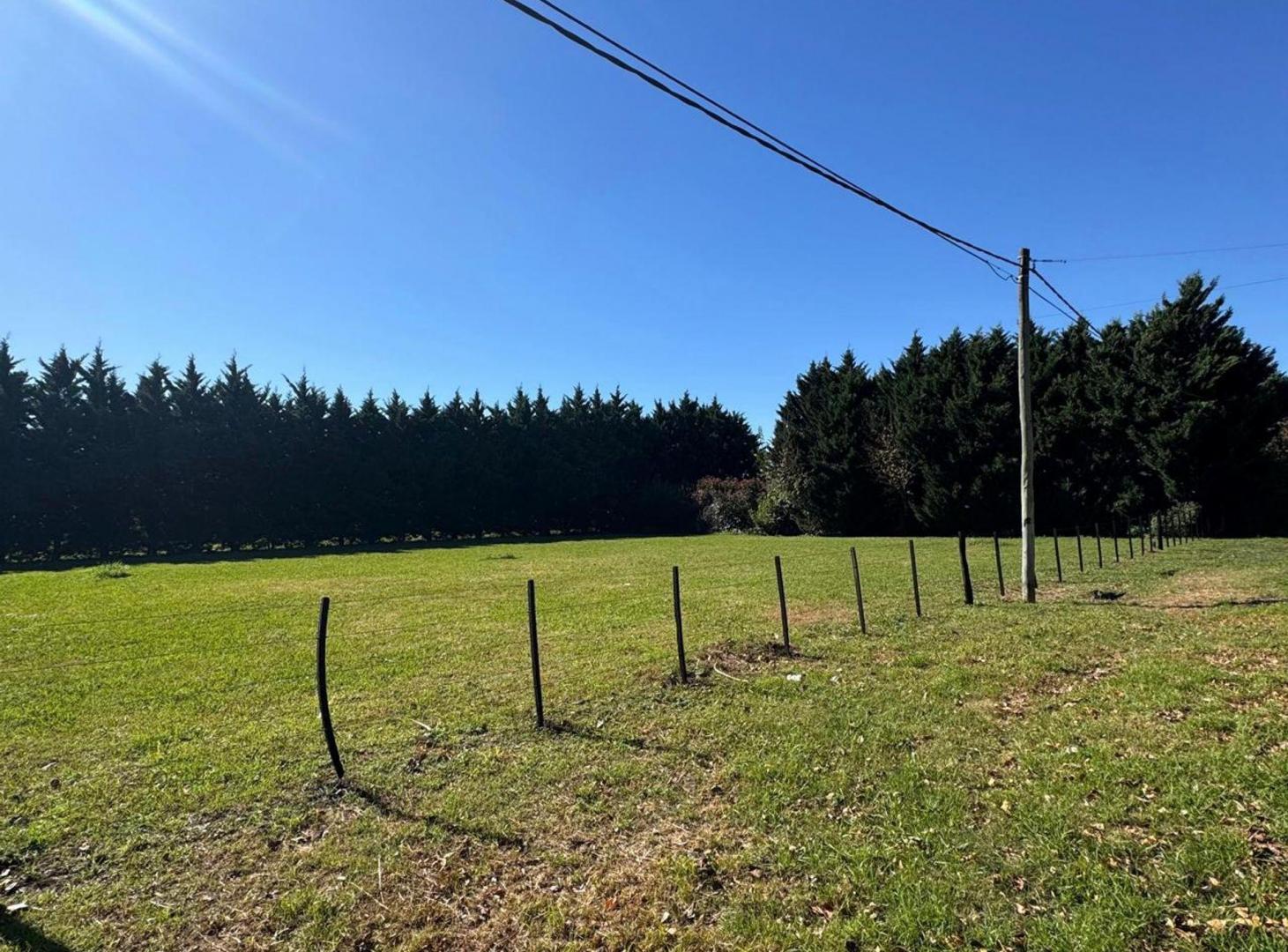 Foto de TERRENO EN VENTA EN PERGAMINO, imagen 2