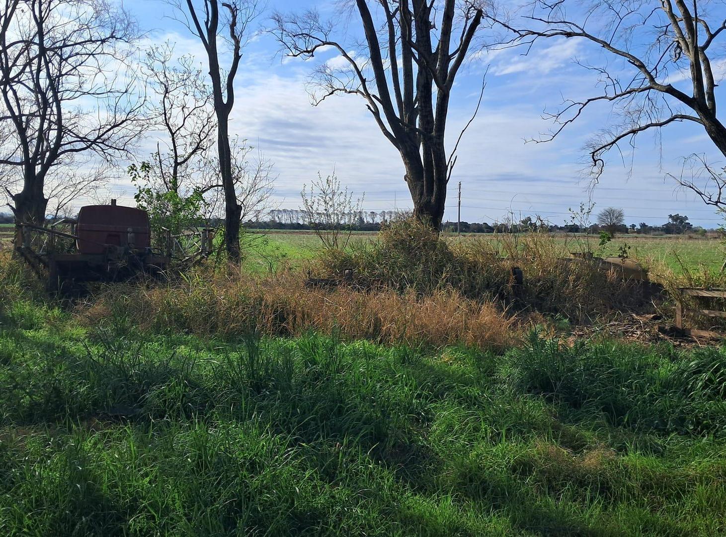 Foto de Campo Ferreyra, imagen 1