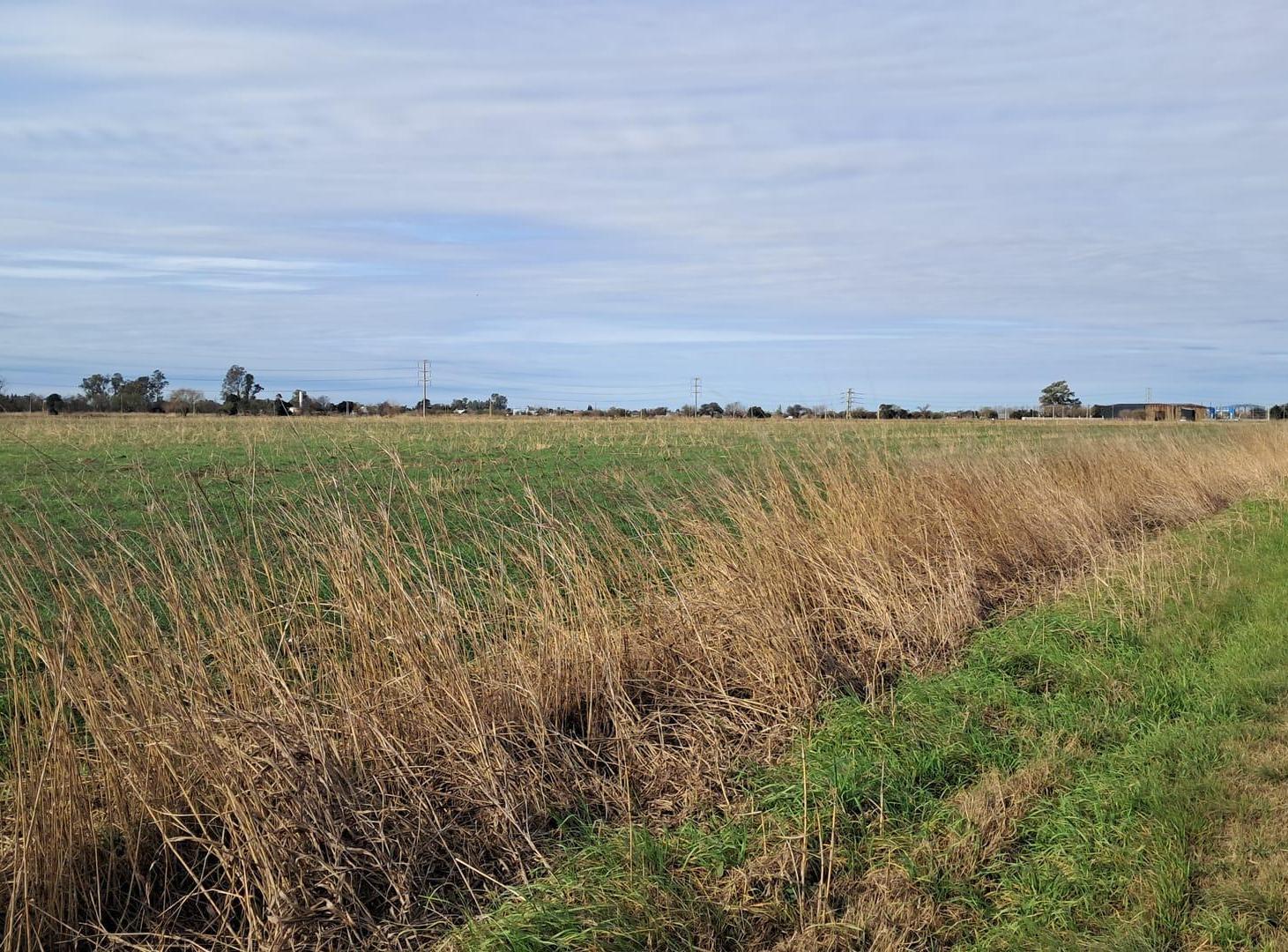 Foto de Campo Ferreyra, imagen 4